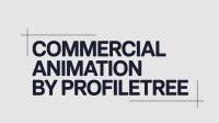 Animation Services