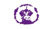 Indigo Marmoset