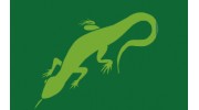 Lime Lizard